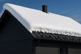 Montera Snörasskydd & installera Takbrygga